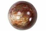 Lot: Petrified Wood Spheres - - Madagascar #77959-2